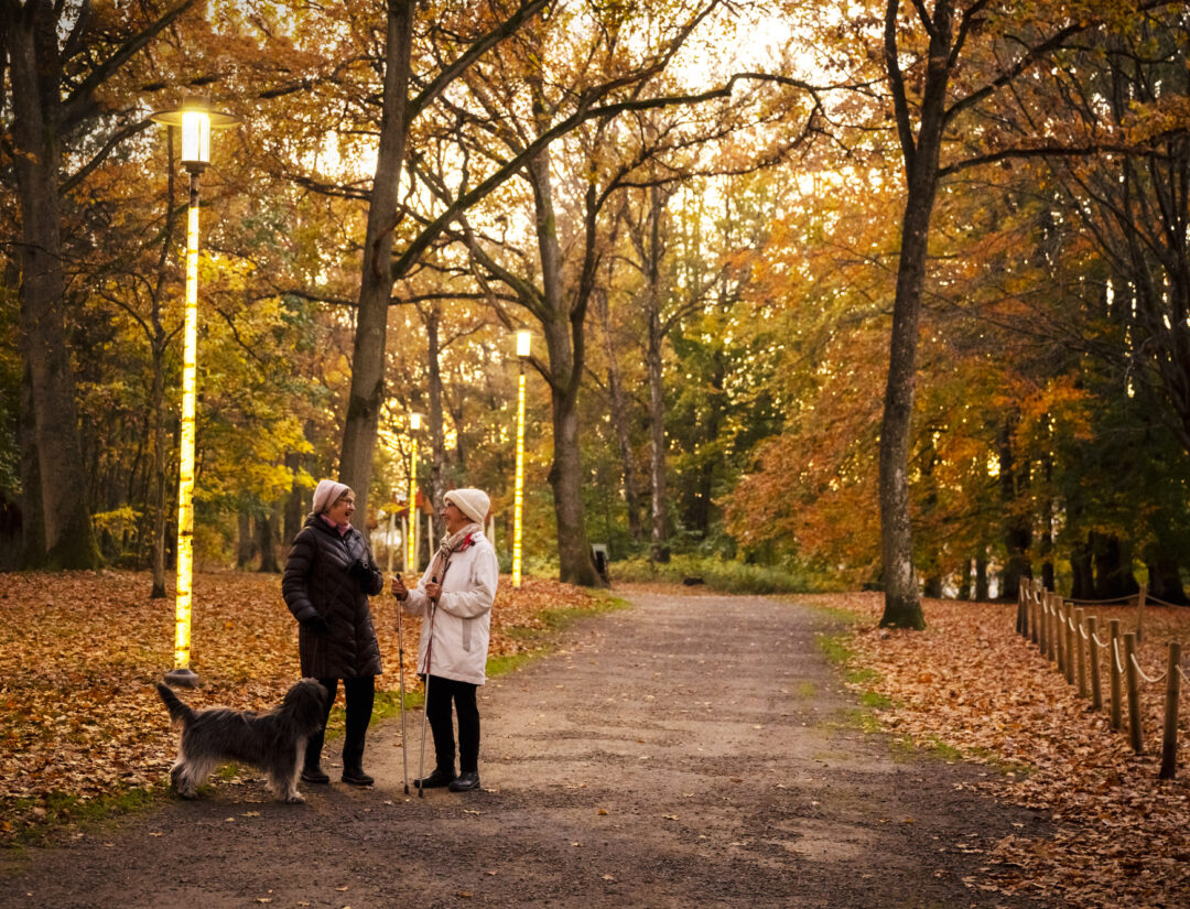 Årsredovisning 2021